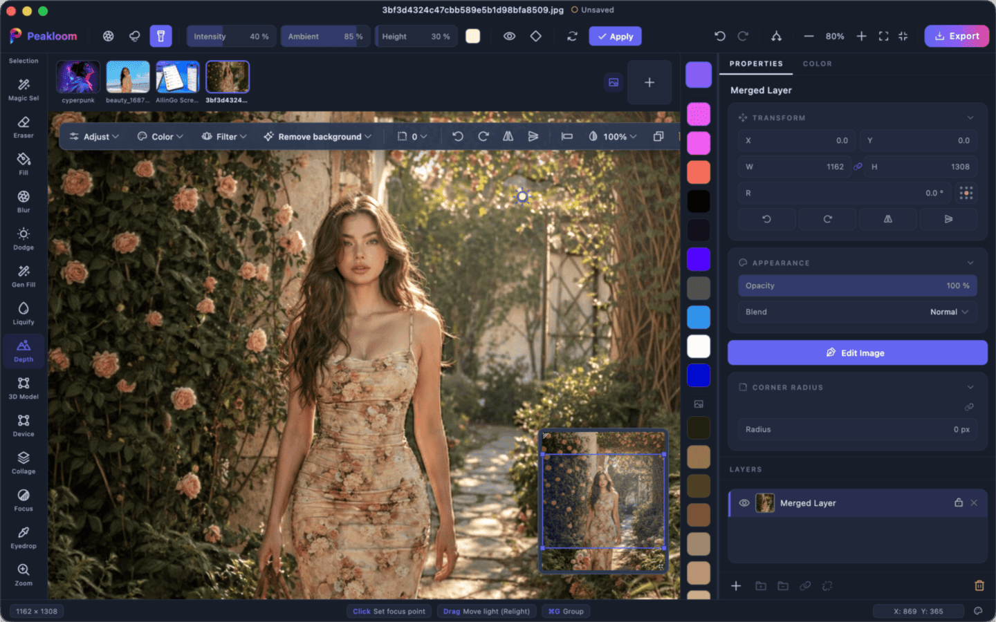 Depth Studio in Peakloom - relight, lens blur and fog controls