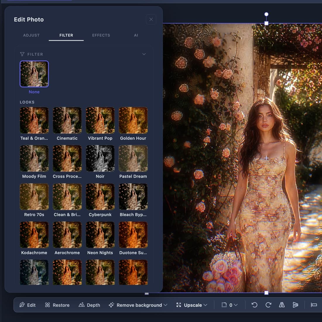 The Looks and LUT picker open over a photo in Peakloom